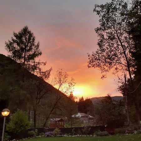 Soggiorno Vacanze Stella Alpina Temù Exteriör bild