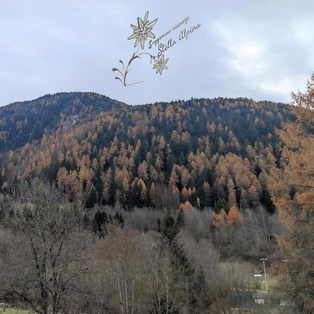 Soggiorno Vacanze Stella Alpina Temù Exteriör bild