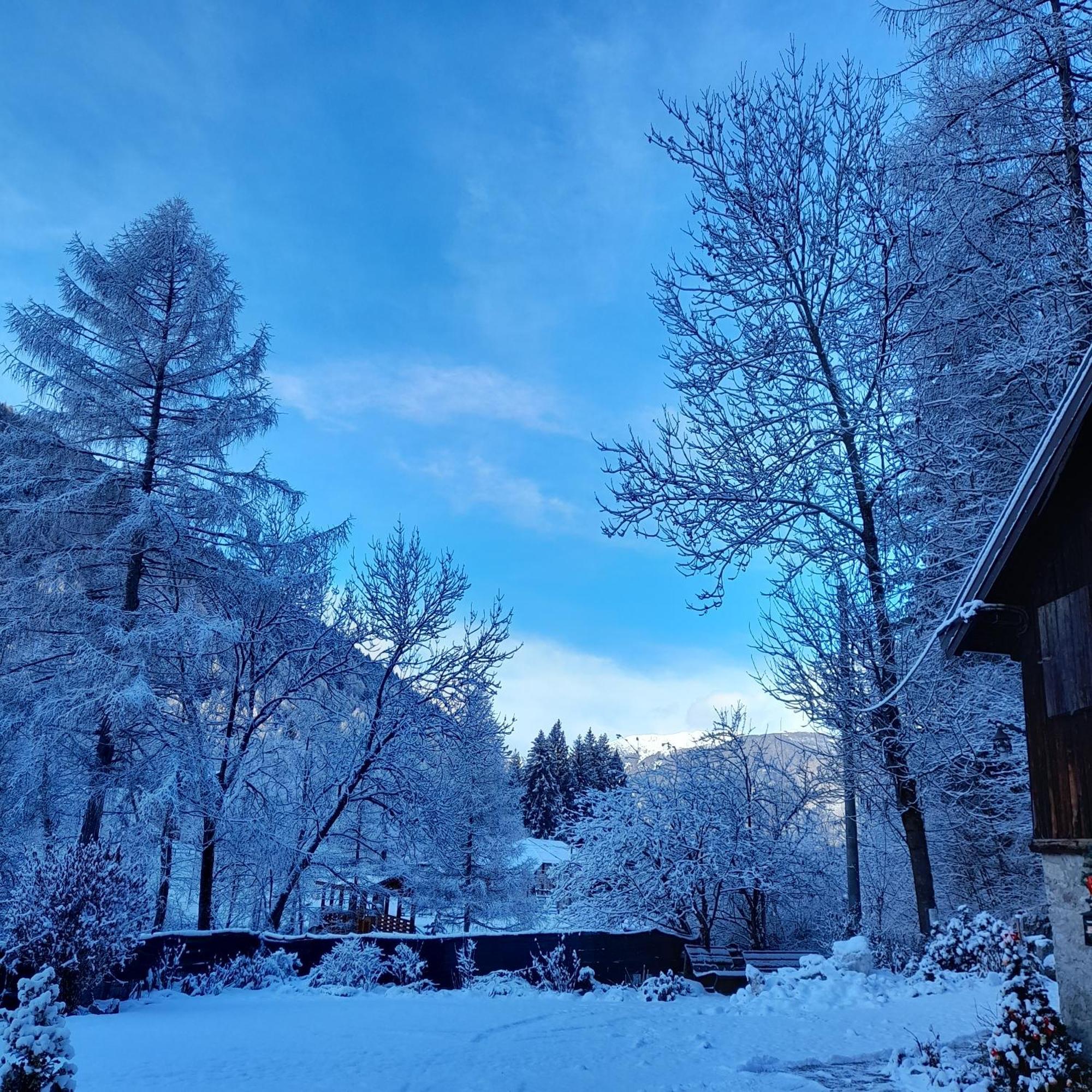 Soggiorno Vacanze Stella Alpina Temù Exteriör bild