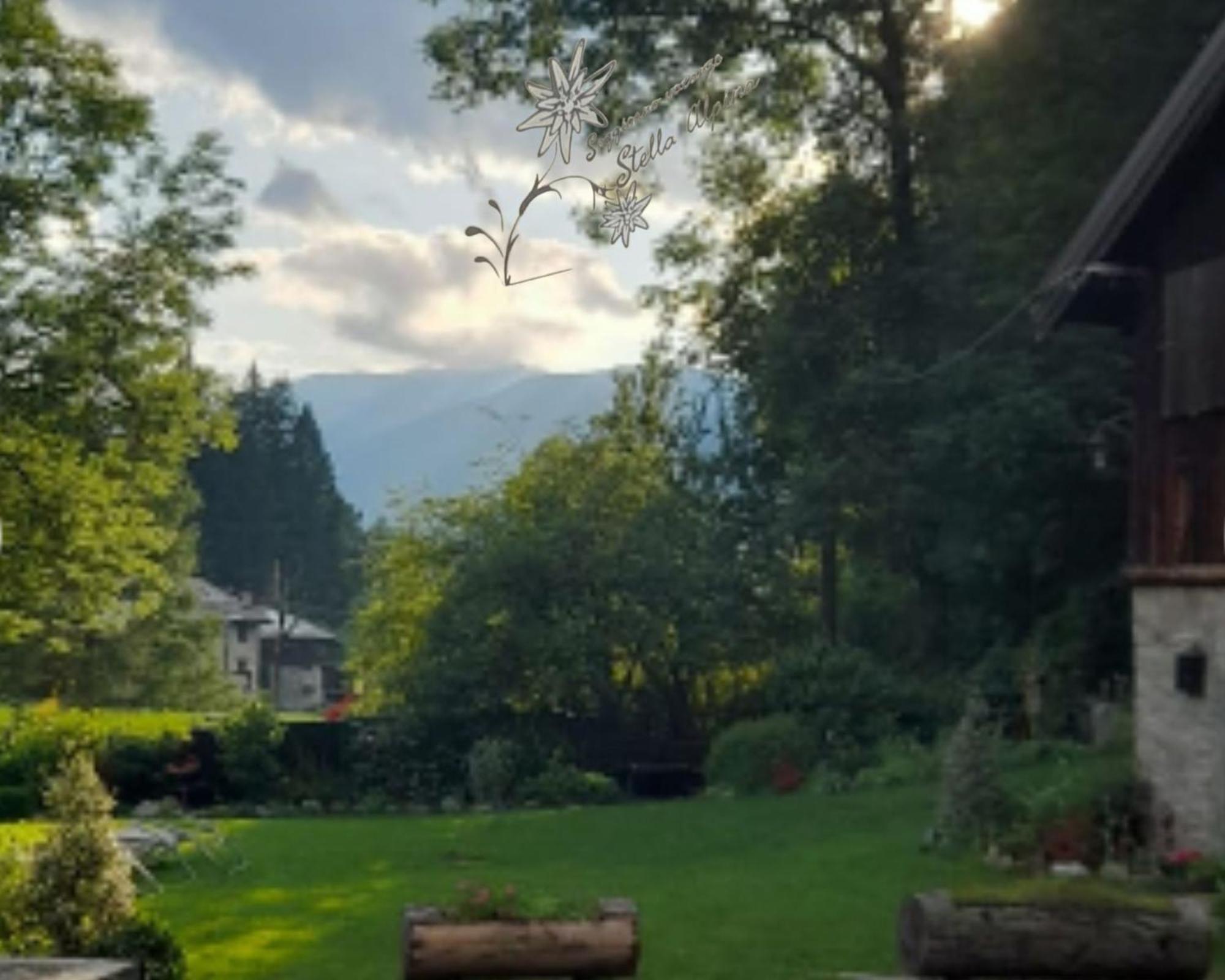 Soggiorno Vacanze Stella Alpina Temù Rum bild