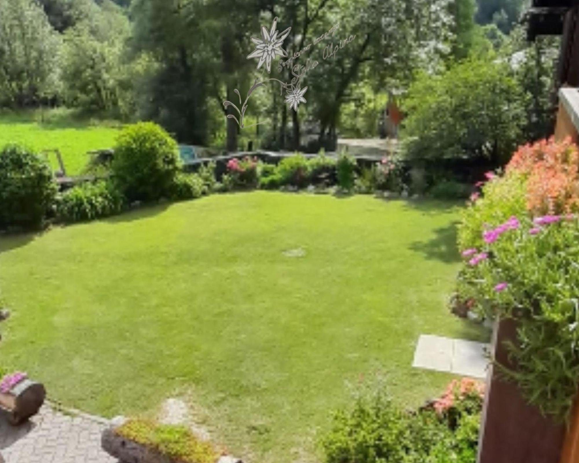 Soggiorno Vacanze Stella Alpina Temù Rum bild