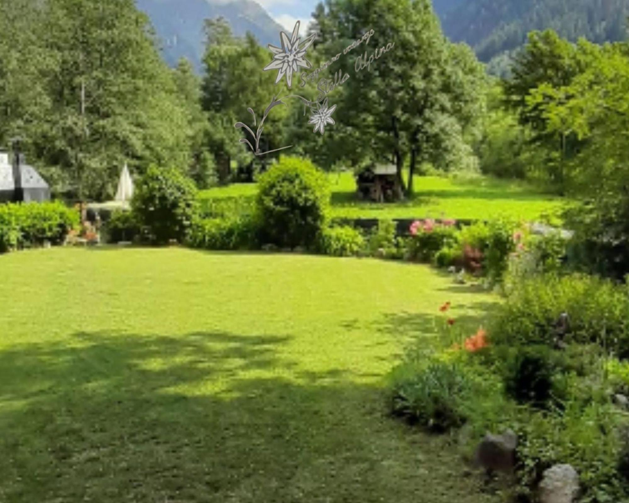 Soggiorno Vacanze Stella Alpina Temù Exteriör bild
