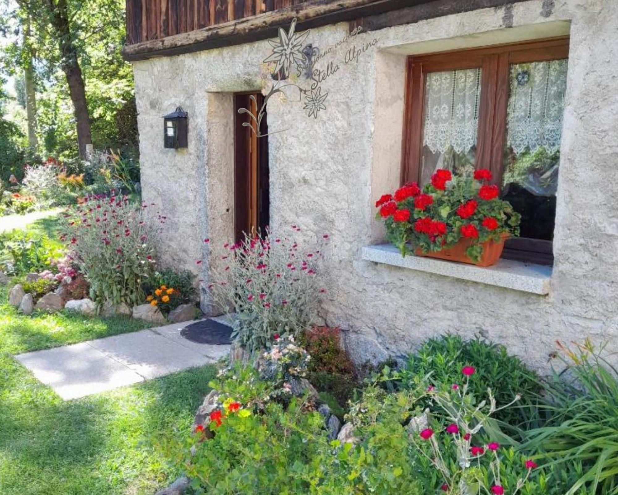 Soggiorno Vacanze Stella Alpina Temù Exteriör bild